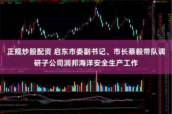 正规炒股配资 启东市委副书记、市长蔡毅带队调研子公司润邦海洋安全生产工作