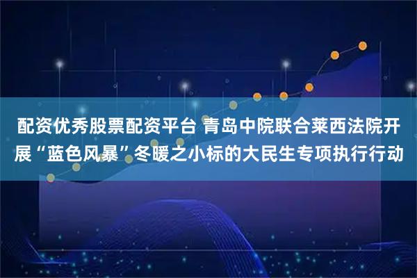 配资优秀股票配资平台 青岛中院联合莱西法院开展“蓝色风暴”冬暖之小标的大民生专项执行行动