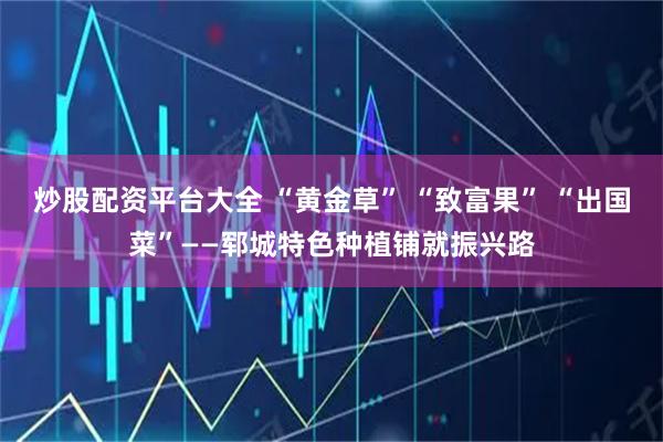 炒股配资平台大全 “黄金草” “致富果” “出国菜”——郓城特色种植铺就振兴路