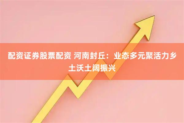 配资证券股票配资 河南封丘：业态多元聚活力乡土沃土阔振兴